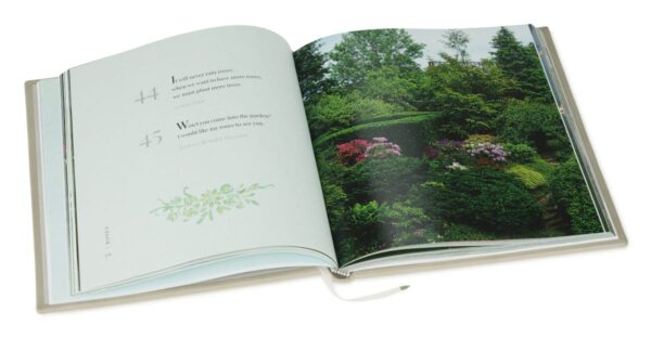 Edycja kolekcjonerska książki Books & Gardens